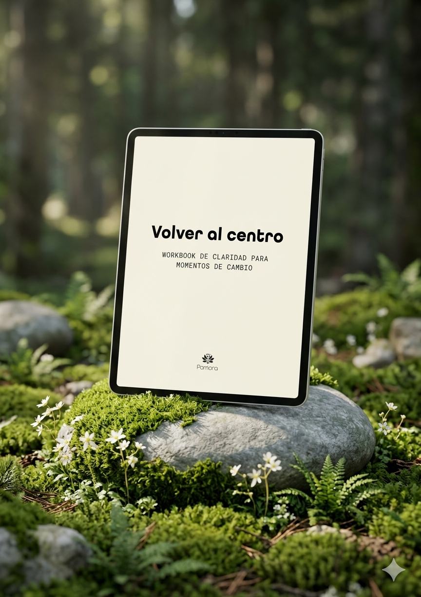 WorkBook: Volver al centro